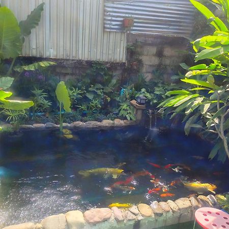 Dokchampa Hotel Vang Vieng Exteriör bild