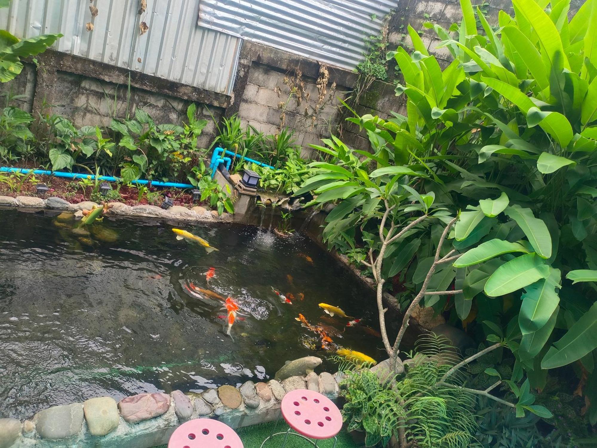 Dokchampa Hotel Vang Vieng Exteriör bild