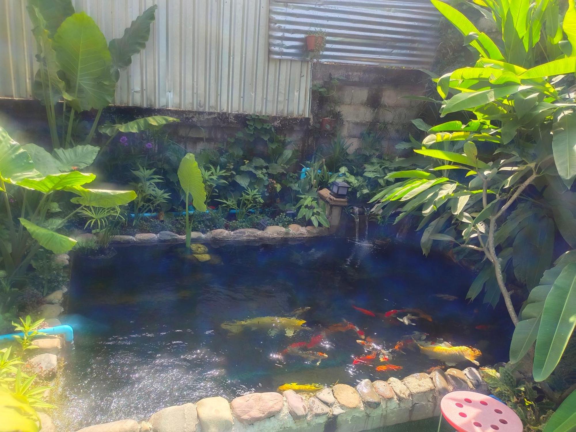 Dokchampa Hotel Vang Vieng Exteriör bild